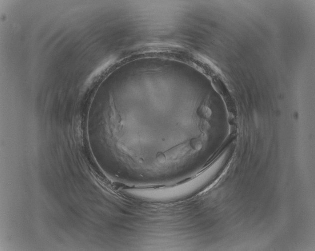 X0000076381403200610161103