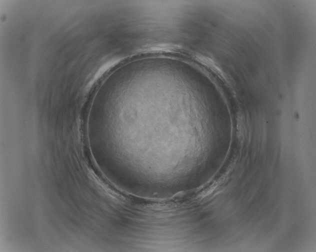 X0000076381404200610161103