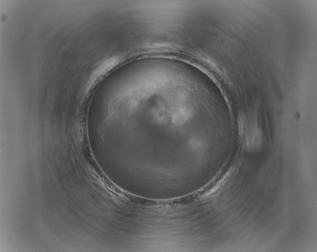 X0000076381405200610161103