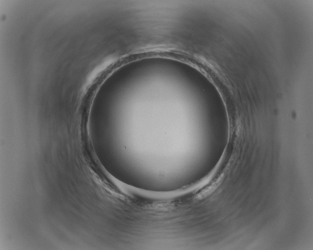 X0000076381406200610161103