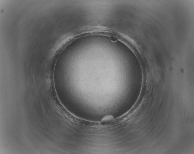 X0000076381407200610161103