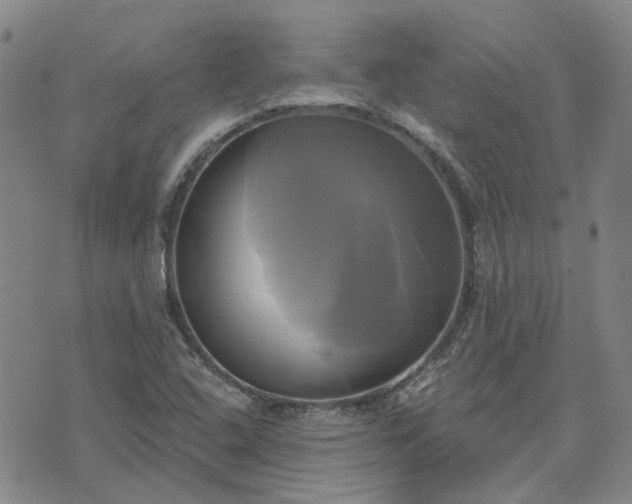 X0000076381408200610161103