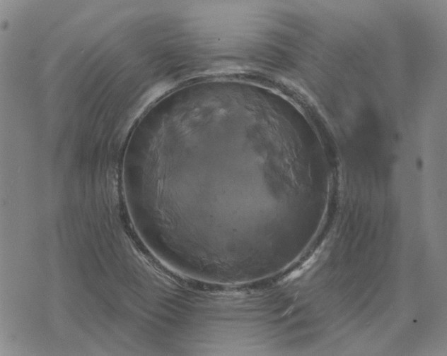 X0000076381409200610161103