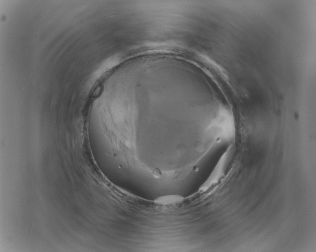 X0000076381411200610161103