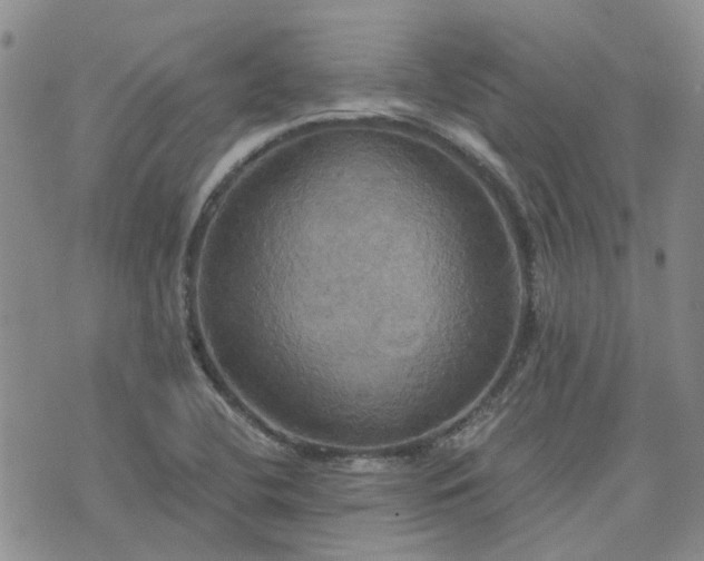 X0000076381412200610161103