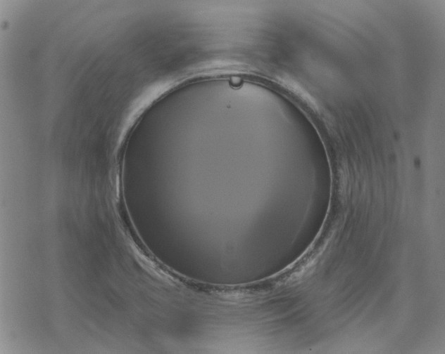 X0000076381413200610161103