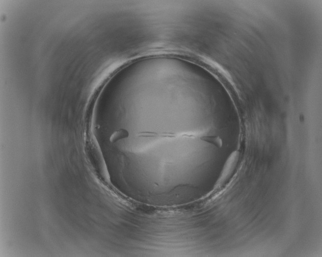 X0000076381415200610161103