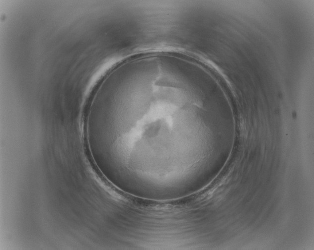 X0000076381416200610161103