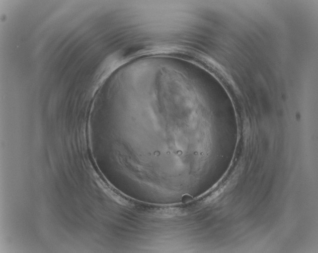 X0000076381417200610161103