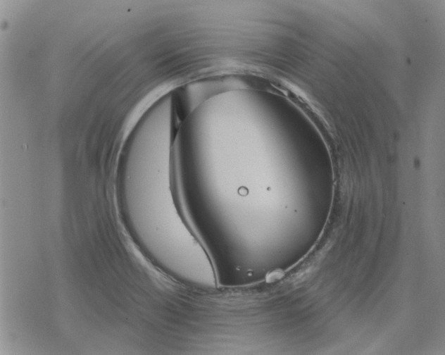 X0000076381418200610161103