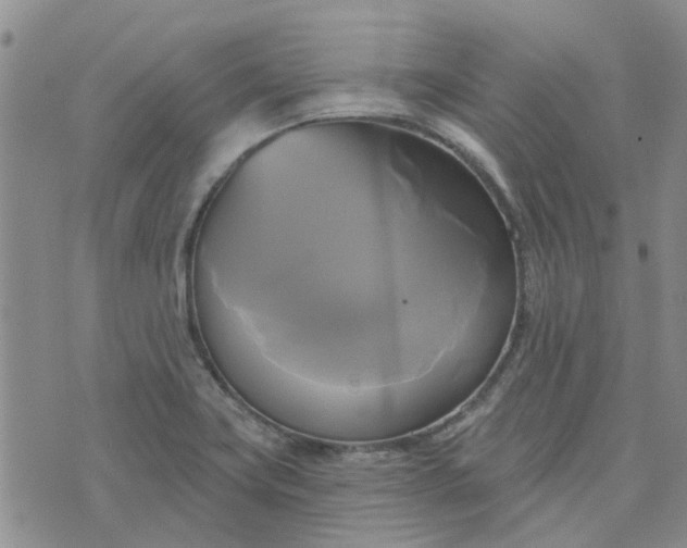 X0000076381419200610161103