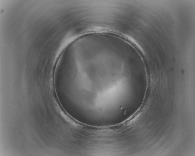 X0000076381421200610161103