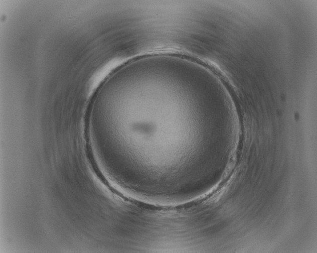 X0000076381422200610161103