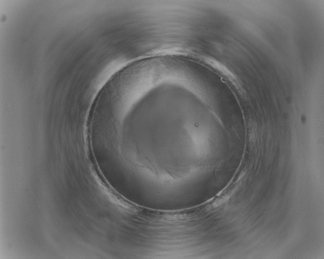 X0000076381423200610161103