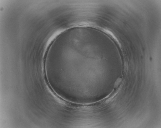 X0000076381424200610161104