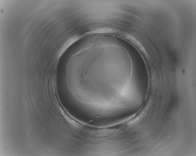 X0000076381425200610161104