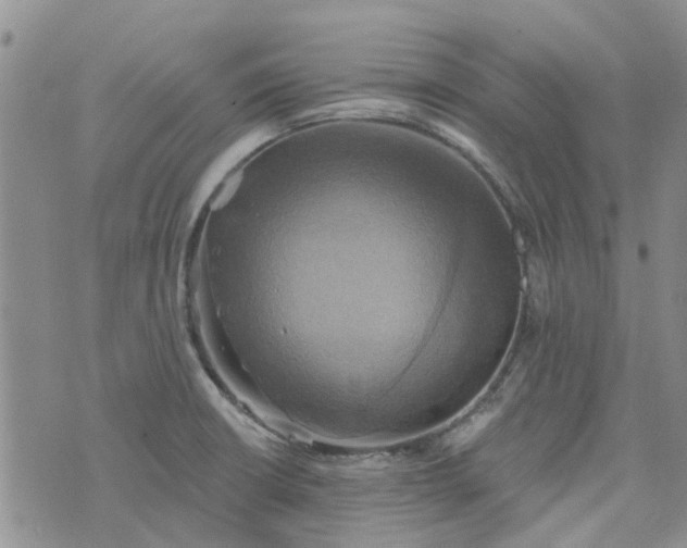 X0000076381426200610161104