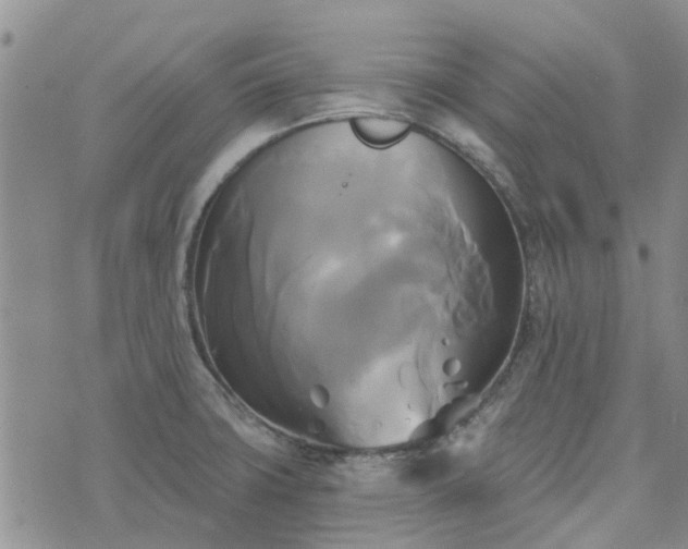 X0000076381427200610161104