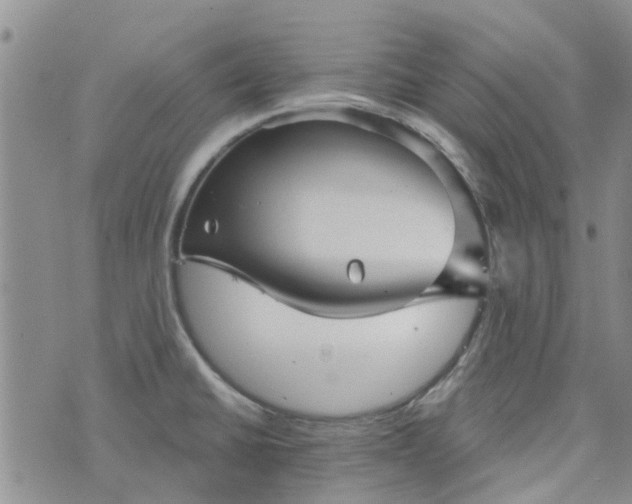 X0000076381430200610161104