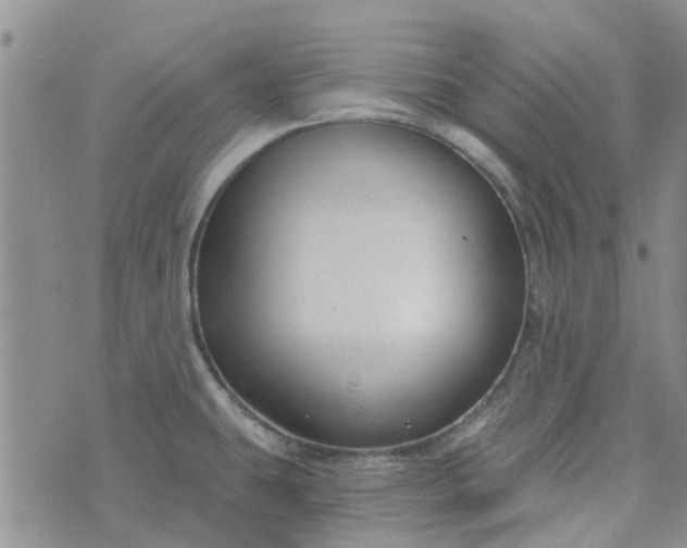 X0000076381431200610161104