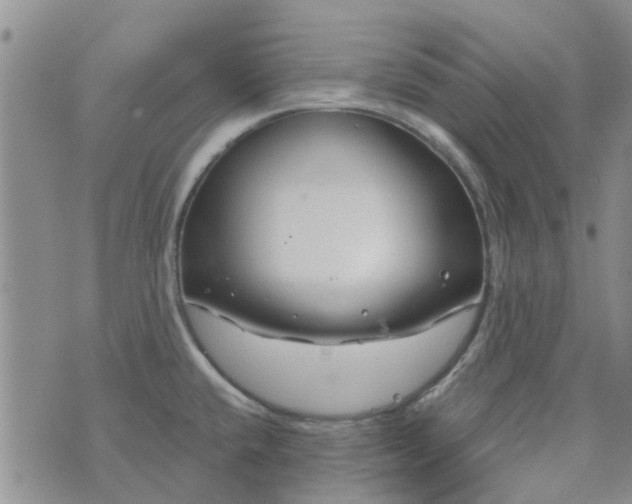 X0000076381432200610161104