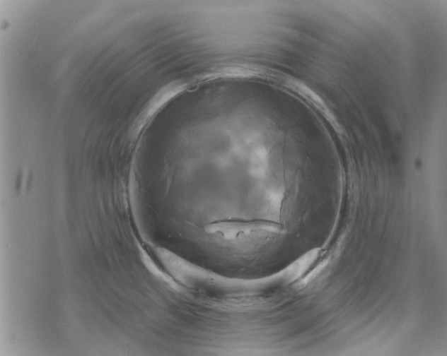 X0000076381433200610161104