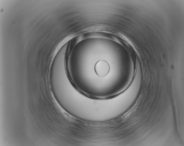 X0000076381434200610161104