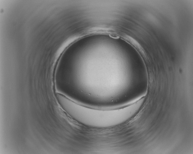 X0000076381435200610161104