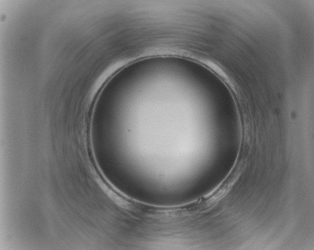 X0000076381438200610161104