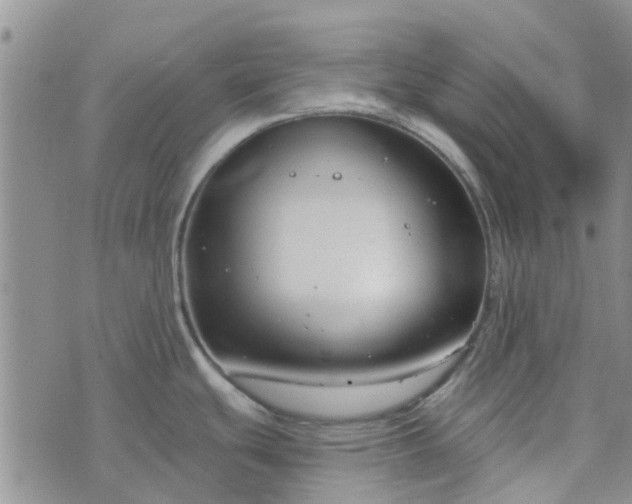 X0000076381439200610161104