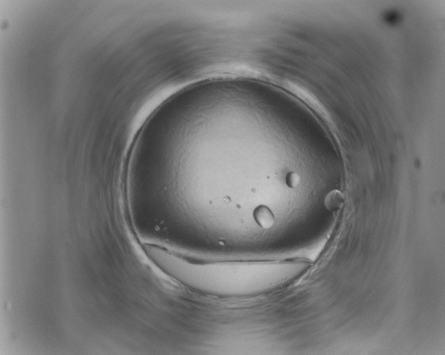 X0000076381440200610161104