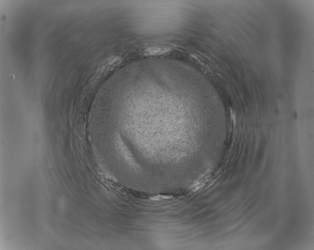 X0000076381441200610161103