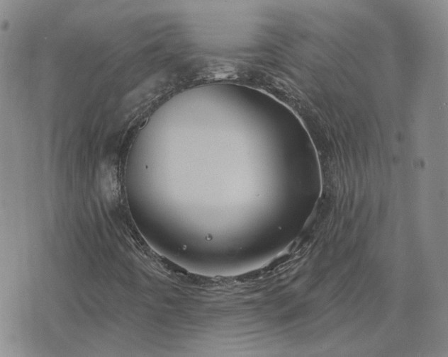 X0000076381442200610161103