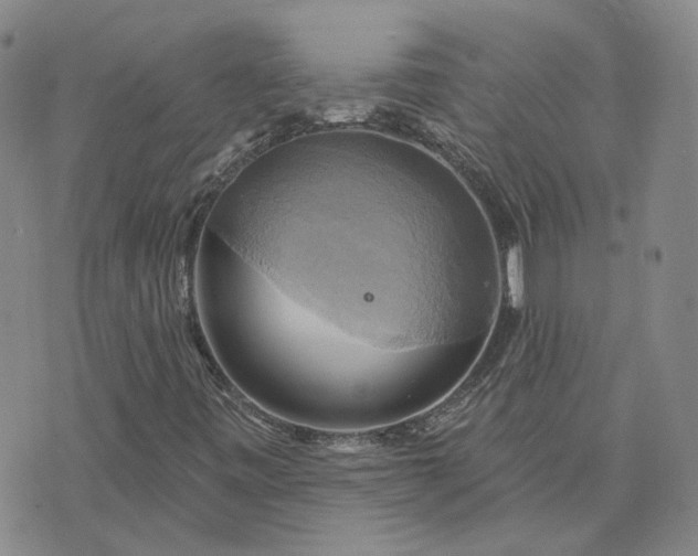 X0000076381443200610161103