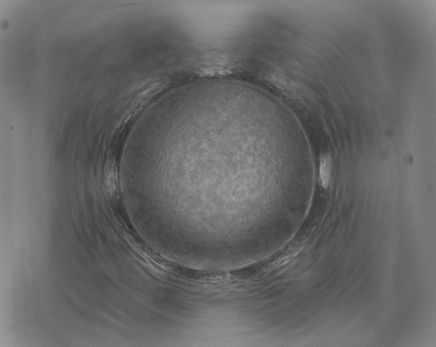 X0000076381444200610161103