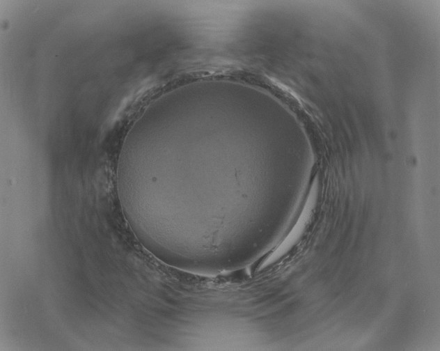 X0000076381447200610161103