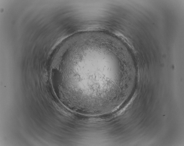 X0000076381449200610161103