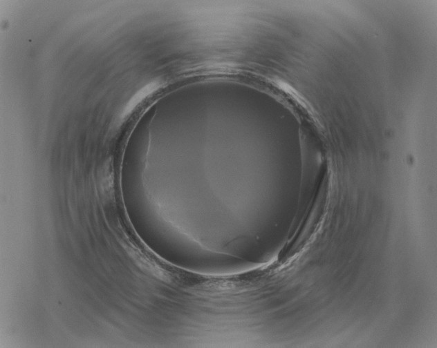 X0000076381450200610161103