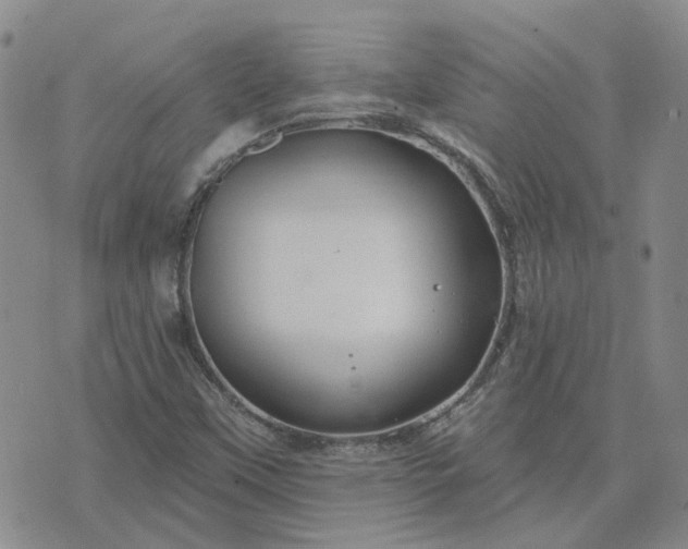 X0000076381451200610161103