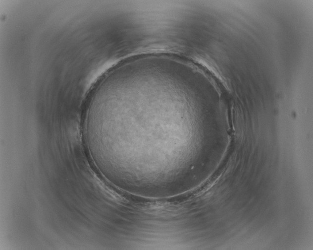 X0000076381452200610161103