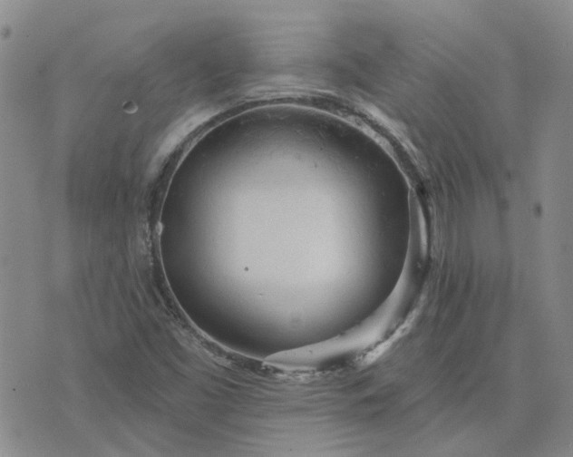 X0000076381453200610161103