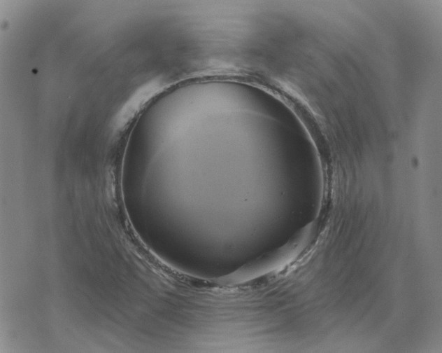 X0000076381455200610161103