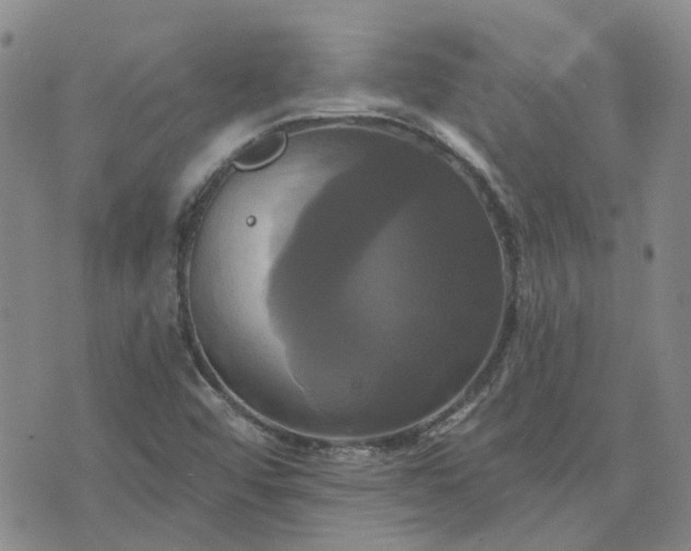 X0000076381456200610161103