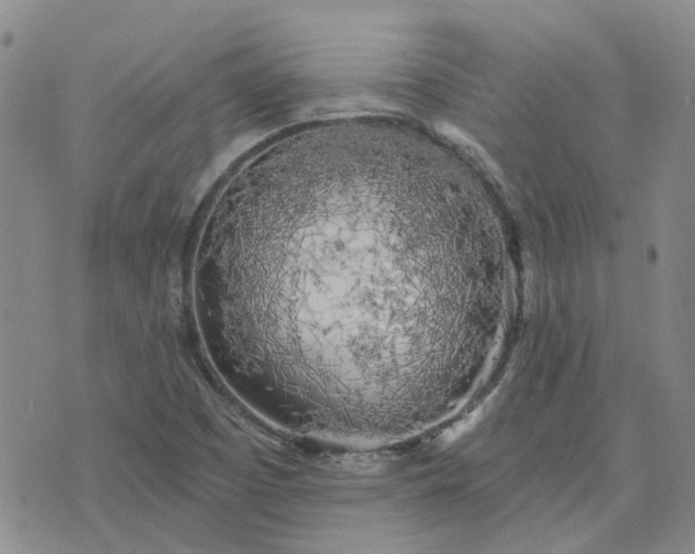 X0000076381457200610161103