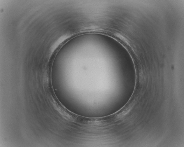 X0000076381458200610161103