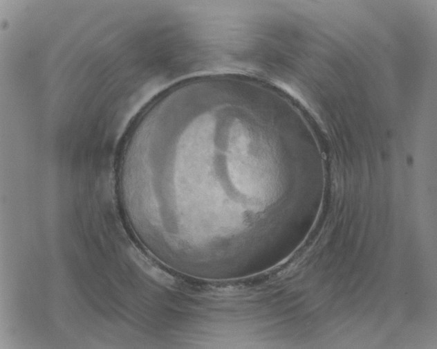 X0000076381460200610161103