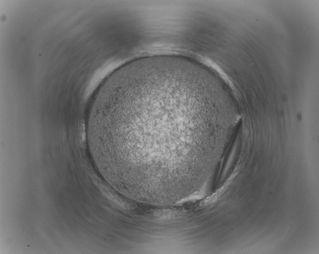 X0000076381461200610161103