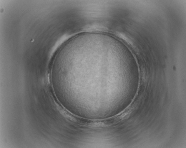 X0000076381462200610161103