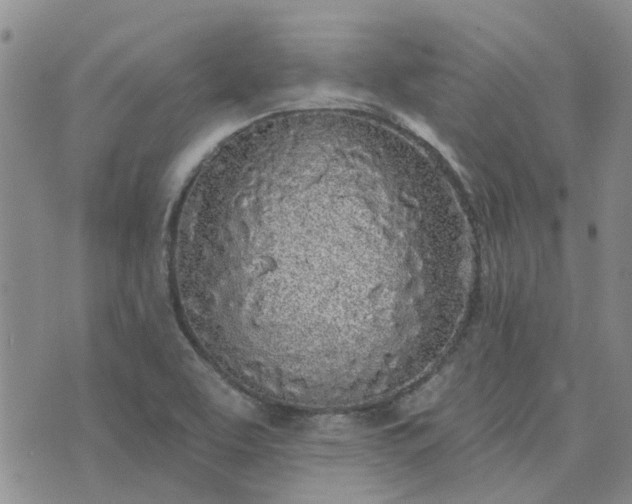 X0000076381463200610161103