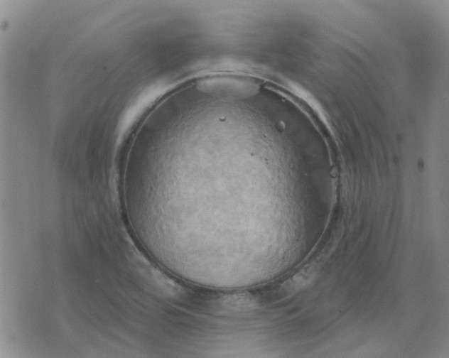 X0000076381464200610161103